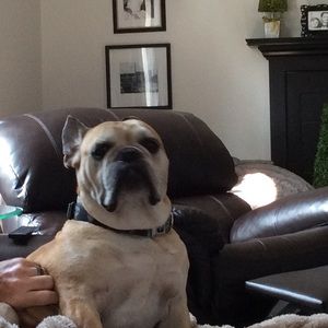 Meet your Posher, Kristie