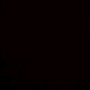 Meet your Posher, Micheal