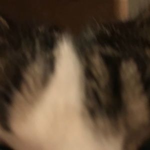 Meet your Posher, Mindy