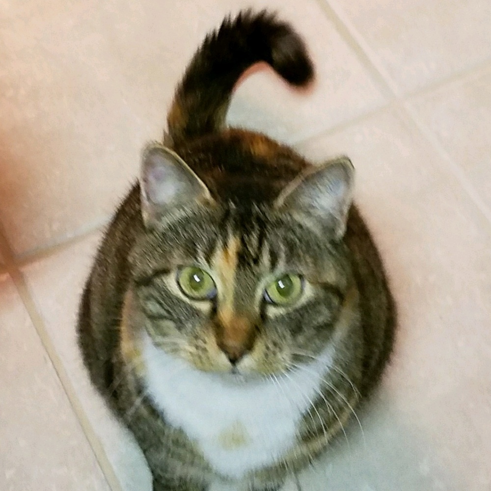 Meet your Posher, Meredith