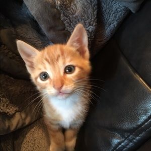 Meet your Posher, Di