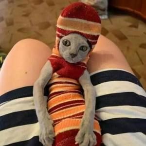 Meet your Posher, Nolan