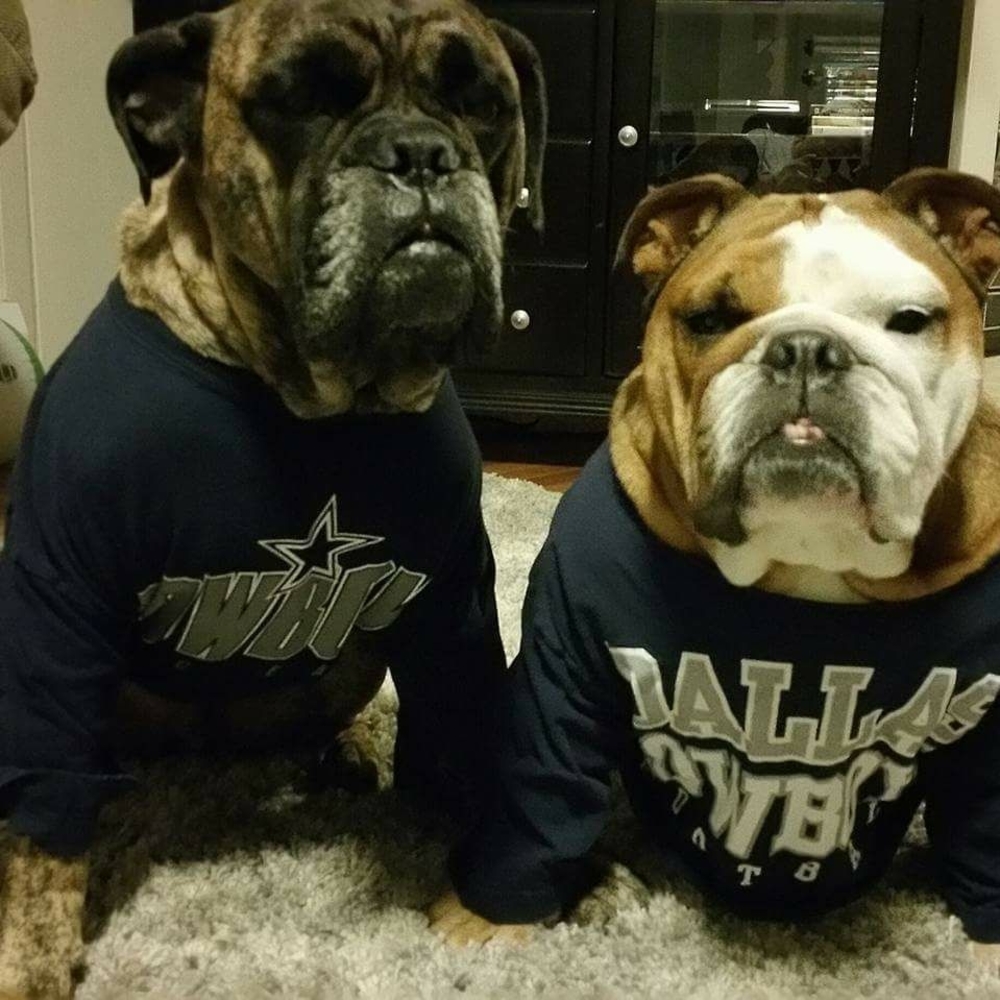 Meet your Posher, Carmen