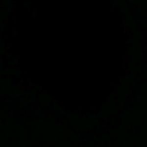 Meet your Posher, Cedric