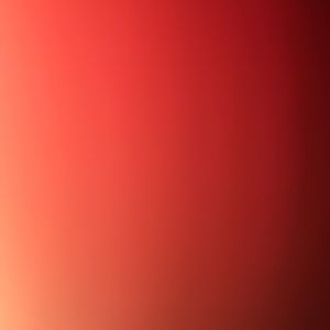 Meet your Posher, Joel