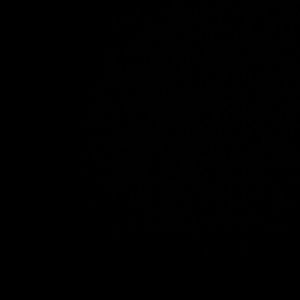 Meet your Posher, Tatum