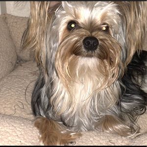 Meet your Posher, Kiley