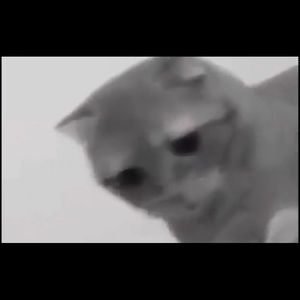 Meet your Posher, Garrett