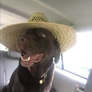 Meet your Posher, Keith