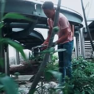 Meet your Posher, Donald