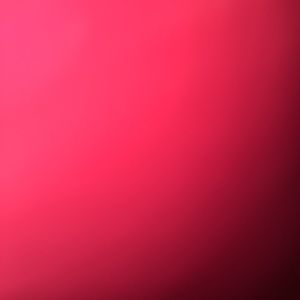 Meet your Posher, Noah