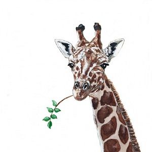 Meet your Posher, Dalal