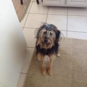 Meet your Posher, Nancy