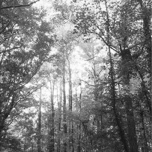 Meet your Posher, Kenz