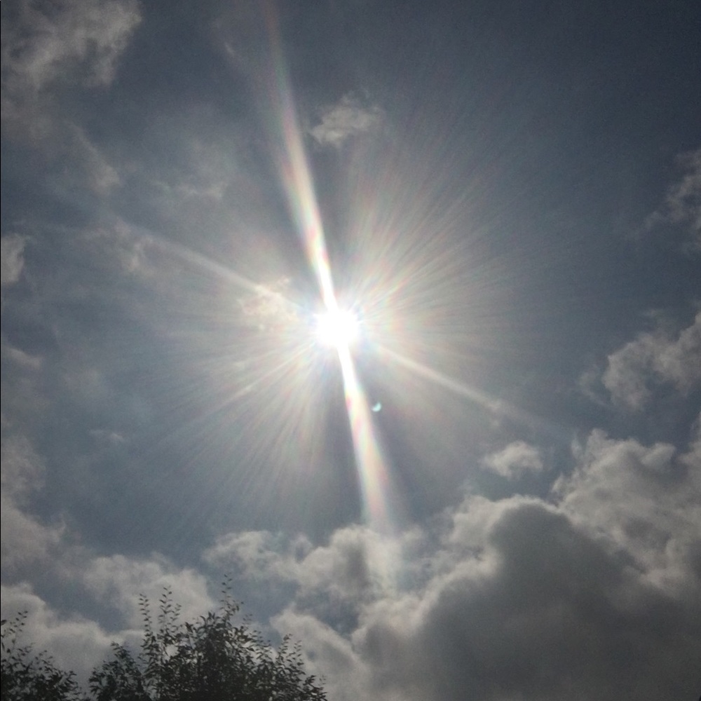 Meet your Posher, Marta