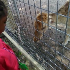 Meet your Posher, Elijah