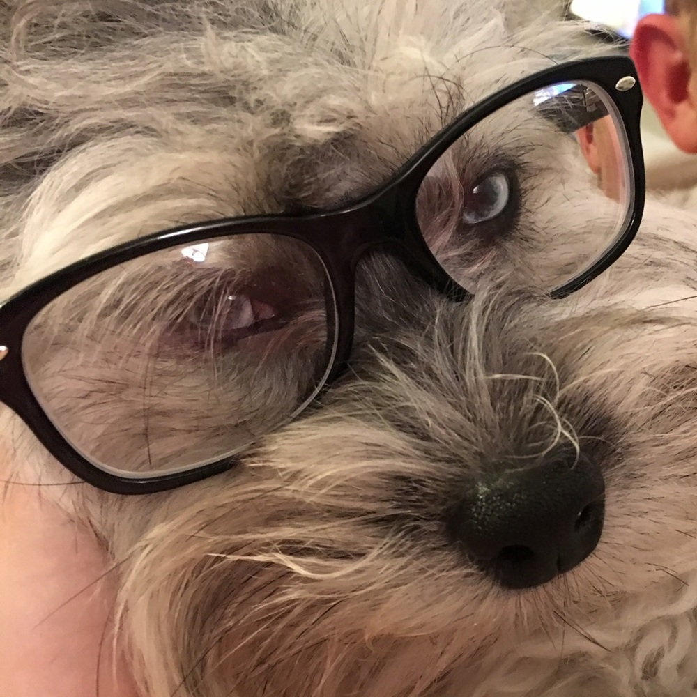 Meet your Posher, Brandi