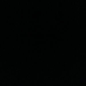 Meet your Posher, Adrianne