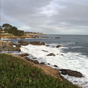 Meet your Posher, Bonnie