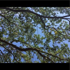 Meet your Posher, Jayden