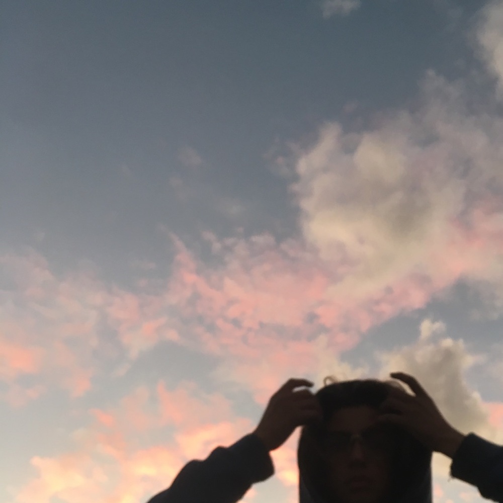 Meet your Posher, Shane