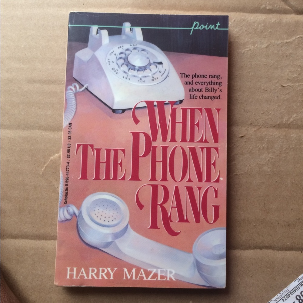 Chapter book