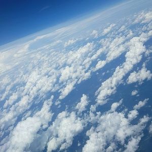 Meet your Posher, Liza