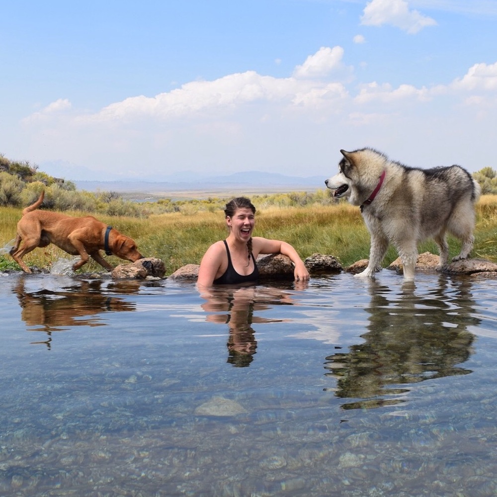 Meet your Posher, Hannah