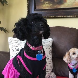 Meet your Posher, Seela