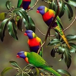 Meet your Posher, Antonio