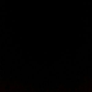 Meet your Posher, Wesley