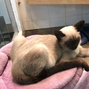 Meet your Posher, Jesse