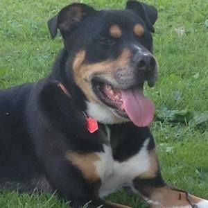 Meet your Posher, Brenden