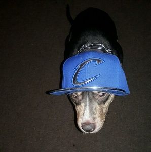 Meet your Posher, Chrissy