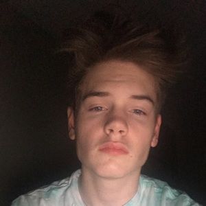 Meet your Posher, Logan