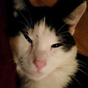 Meet your Posher, Sally