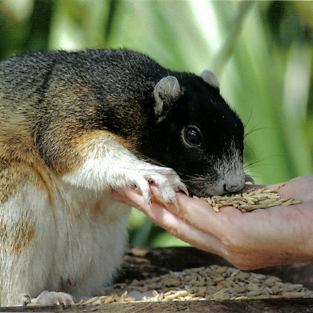 Meet your Posher, Tracie