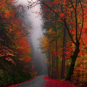 Meet your Posher, Kristy