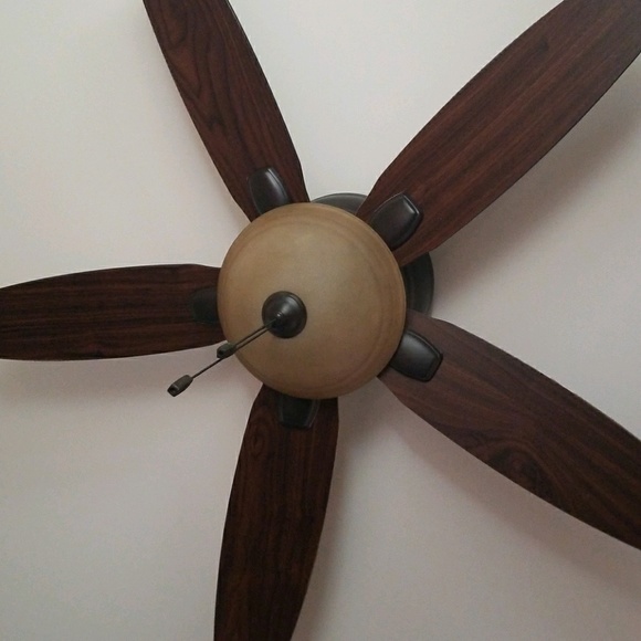 Meet your Posher, Scott - Picture 1 of 1