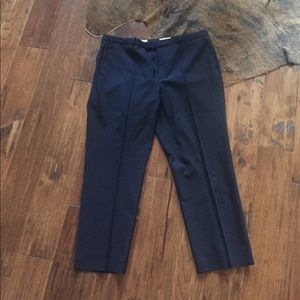 J Crew navy pants