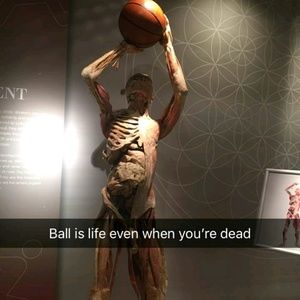 Meet your Posher, Darren