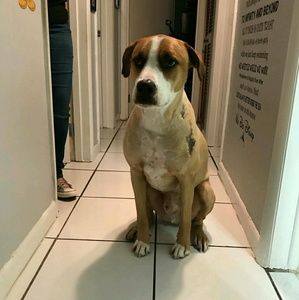 Meet your Posher, Eileen