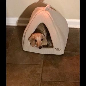 Meet your Posher, Lorraine