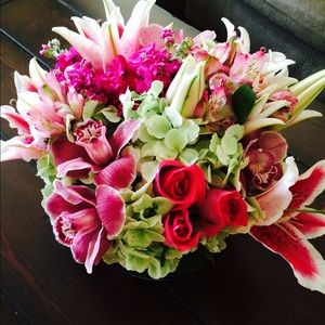 Meet your Posher, Rita