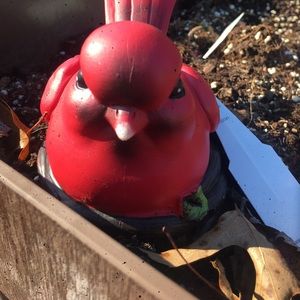 Meet your Posher, Miranda