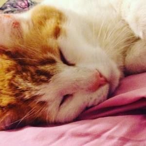 Meet your Posher, Karah