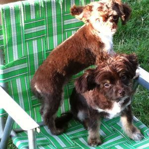 Meet your Posher, Kathy