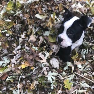 Meet your Posher, Trisha