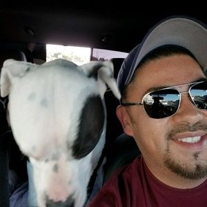 Meet your Posher, Paul