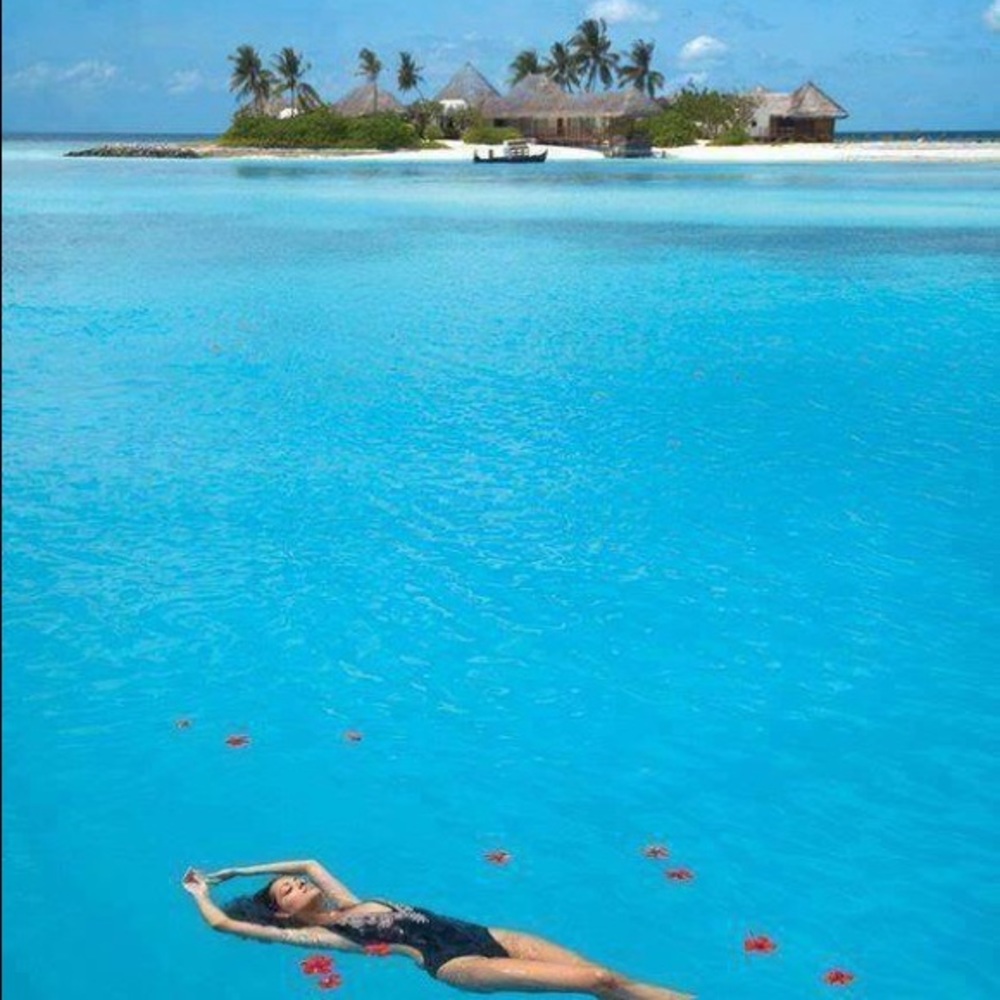 Meet your Posher, Guinevere